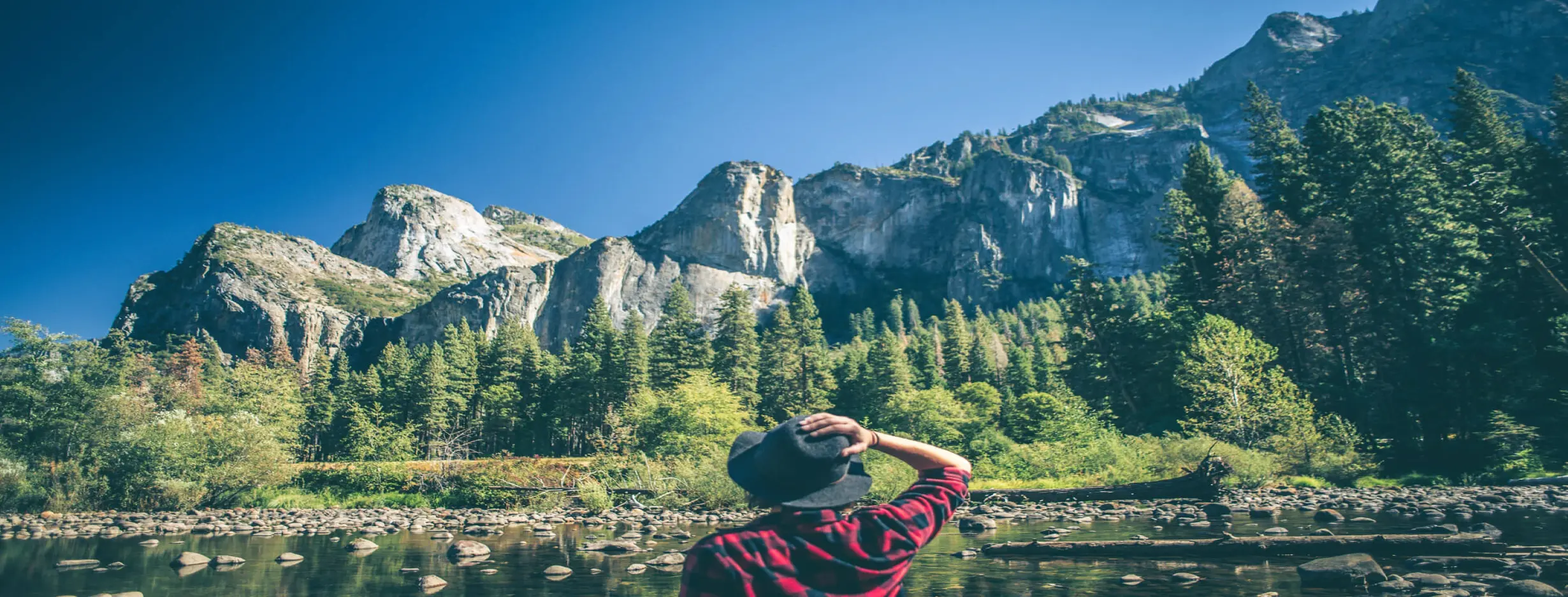 Image for Hike through the Majestic Landscape